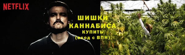 дмт Заволжск