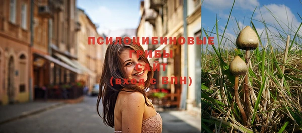 синтетический гашиш Зеленодольск