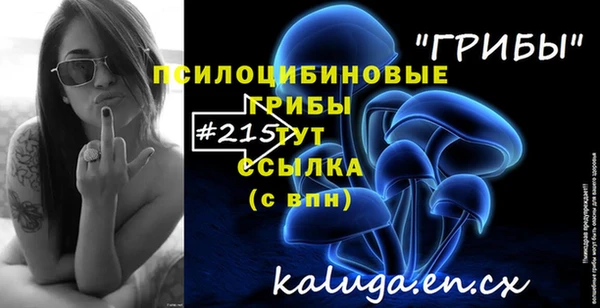 синтетический гашиш Зеленодольск