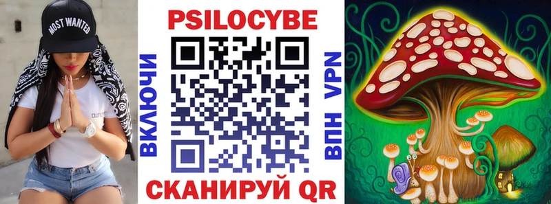 Псилоцибиновые грибы мицелий Купить Строитель